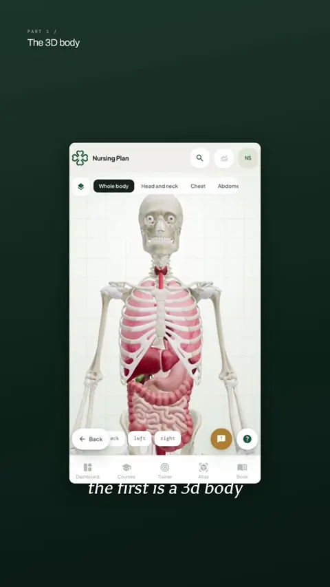 A closer look at the Nursing Plan app