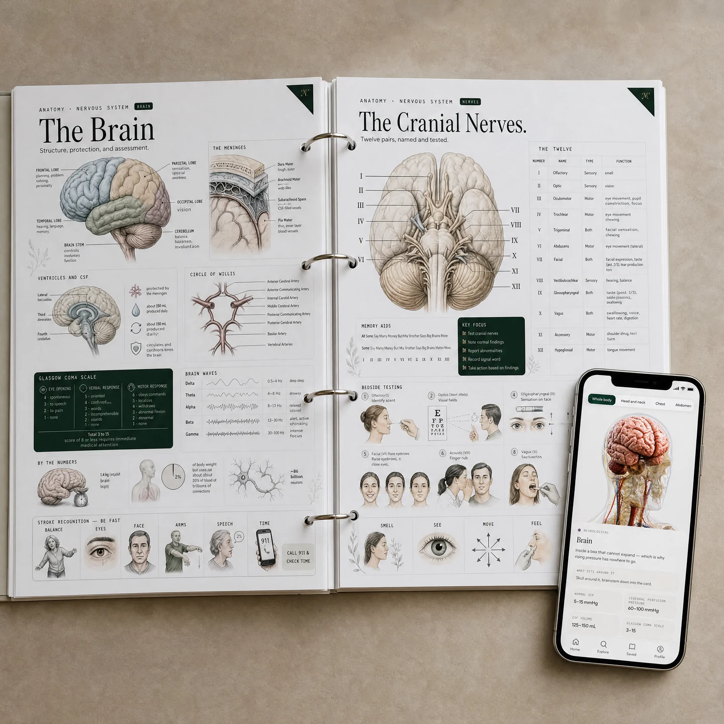 Brain and cranial nerve reference pages beside the app