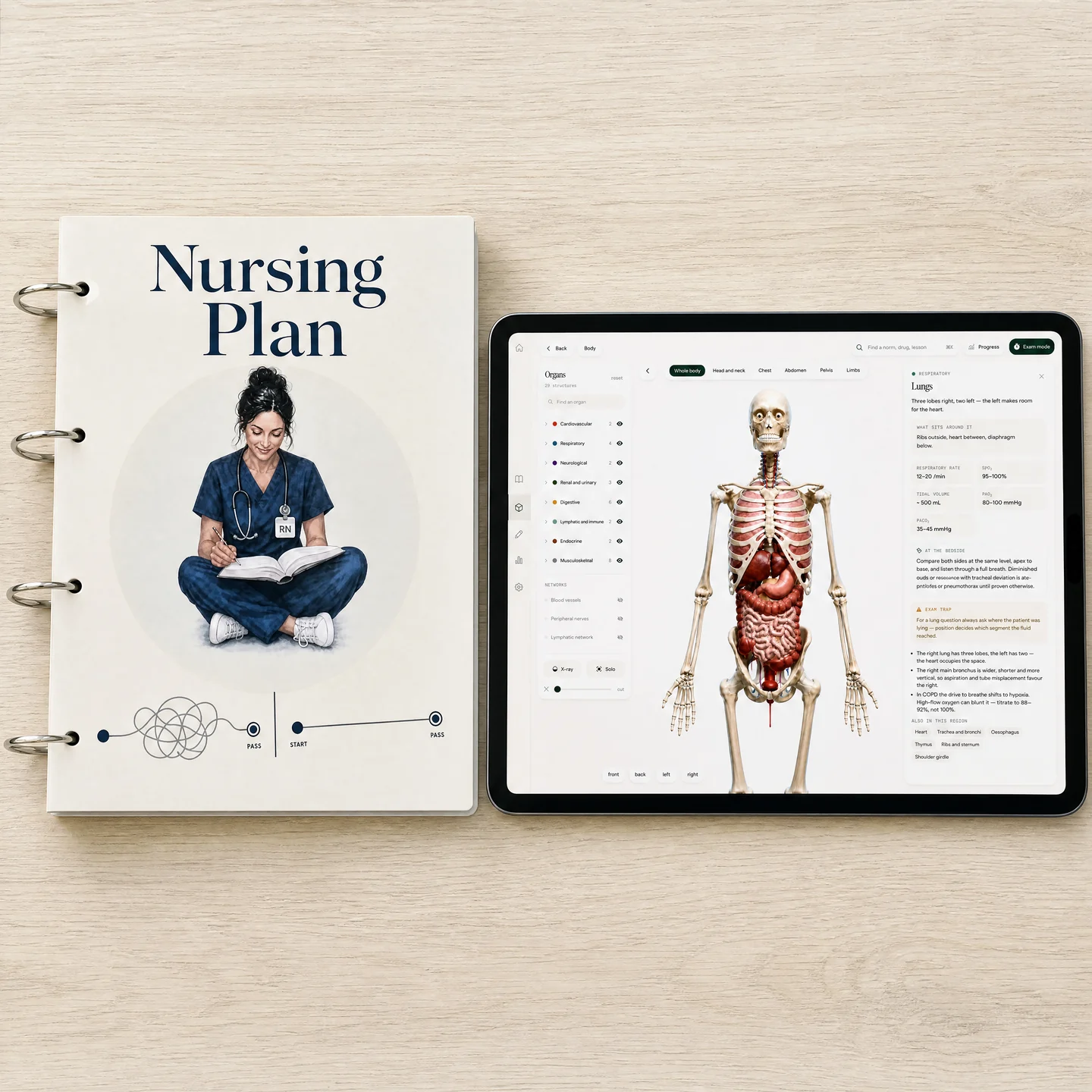 Nursing Plan book cover beside the app on an iPad