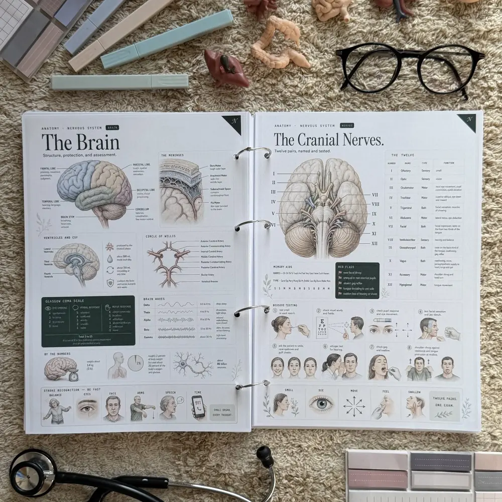 The Brain and The Cranial Nerves, open in a printed copy